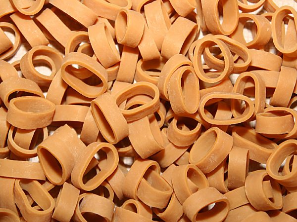 Gummiband